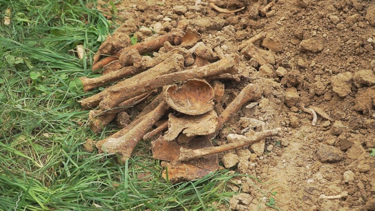 У центрі Вінниці викопали людські кістки…