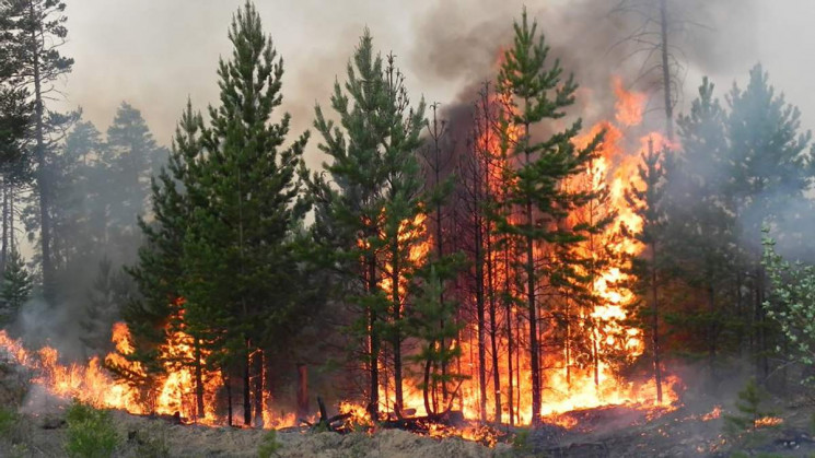 Харків’ян попереджують про пожежну небез…
