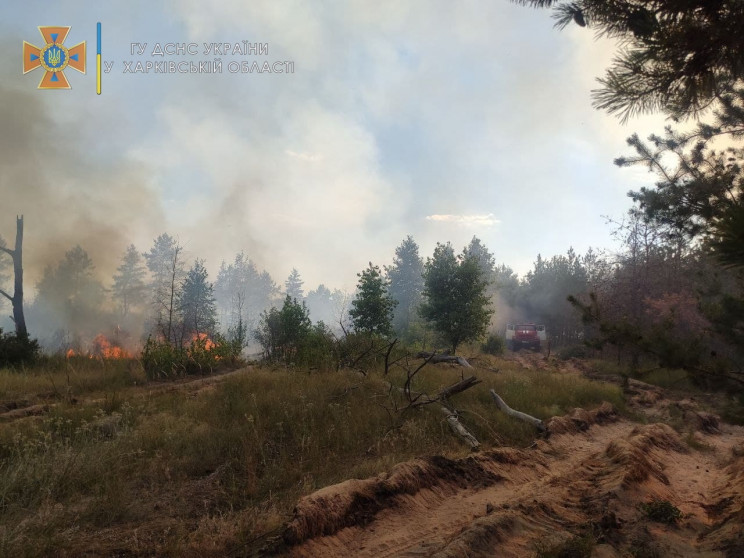 На Харківщині вогонь знищує ліси: Рятува…