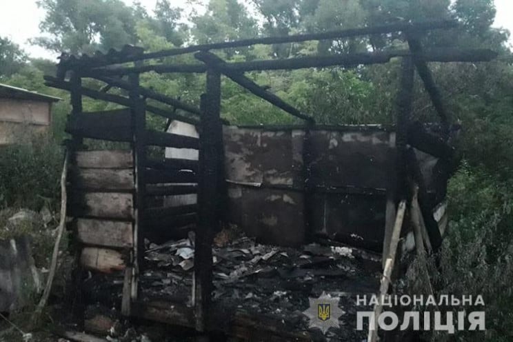 У пожежі на Тернопільщині загинула дворі…