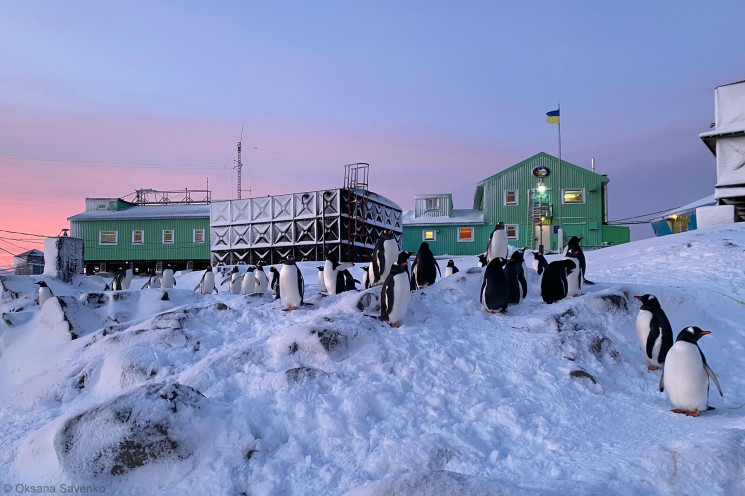 Работа в Антарктиде: Стартовал отбор кан…