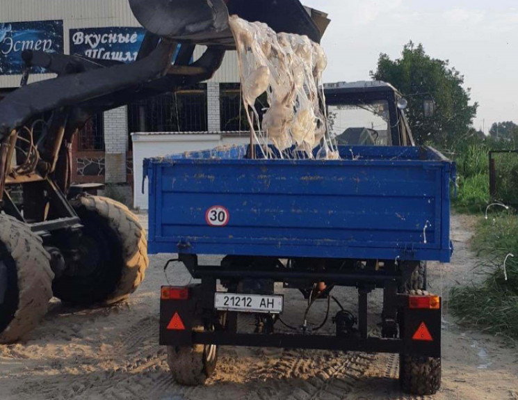 Возле Мариуполя с пляжей на тракторе выв…