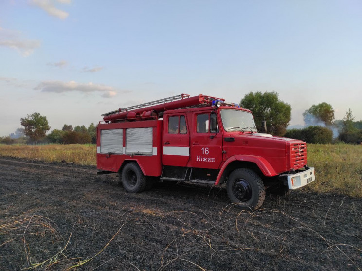 На Чернігівщині пожежа знищила 55 га пше…