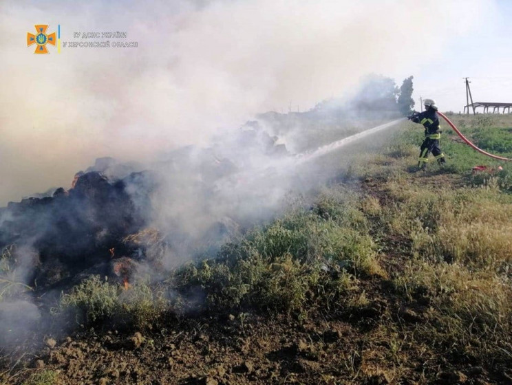 В Херсонской области пожар уничтожил бол…