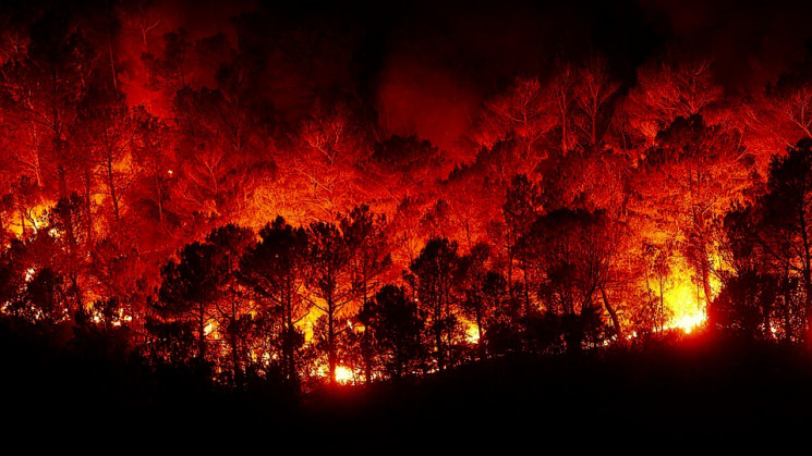 В Турции бушуют лесные пожары, люди брос…