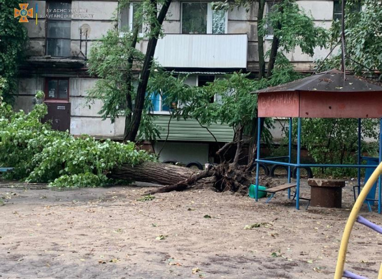 Ураган в  Сіверськодонецьку: Повалені де…