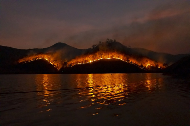 Хорватию охватили лесные пожары: Пострад…