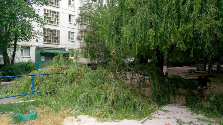 В центре Мелитополя ветер повалил деревь…