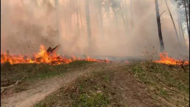 Житель Тернопольской области за сжигание…