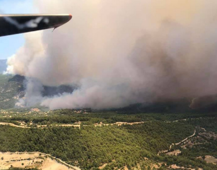 Лісові пожежі у Туреччині: Дипломат розп…
