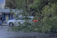 На Дніпропетровщині дерево впало на авті…