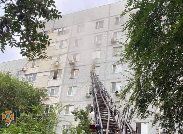 В Запорожской области в пожаре погибла п…