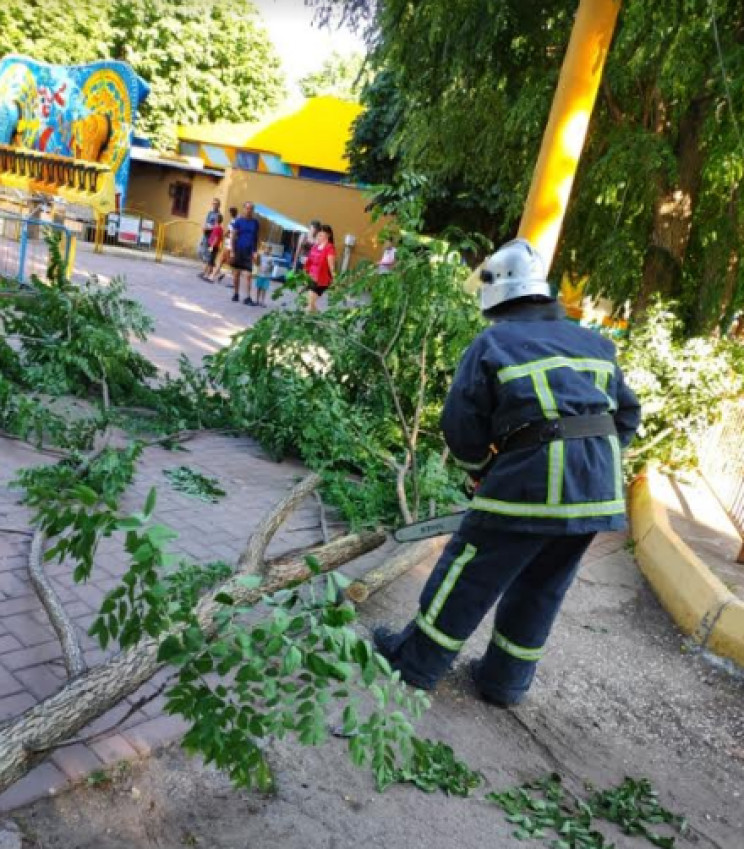 У Кропивницькому гілка дерева впала на е…