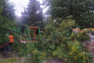 Ураган во Львове: Почти 30 поваленных де…
