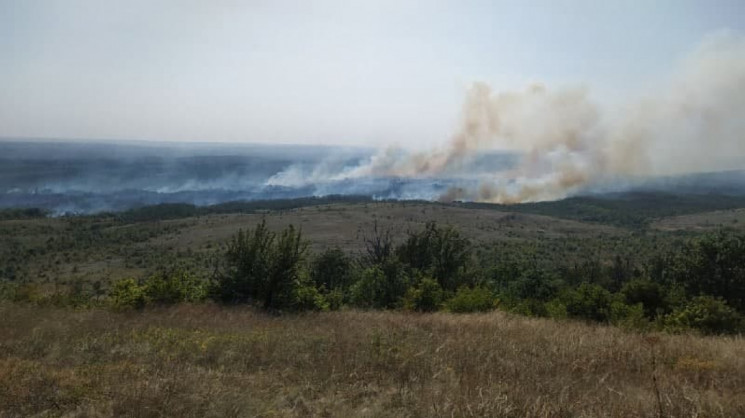 В "ДНР" горит ландшафтный парк "Донецкий…