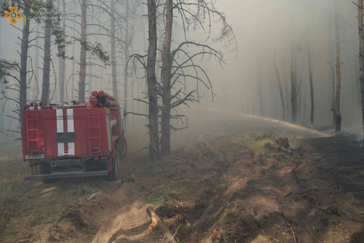 На Луганщине снова тушили пожары в лесу:…