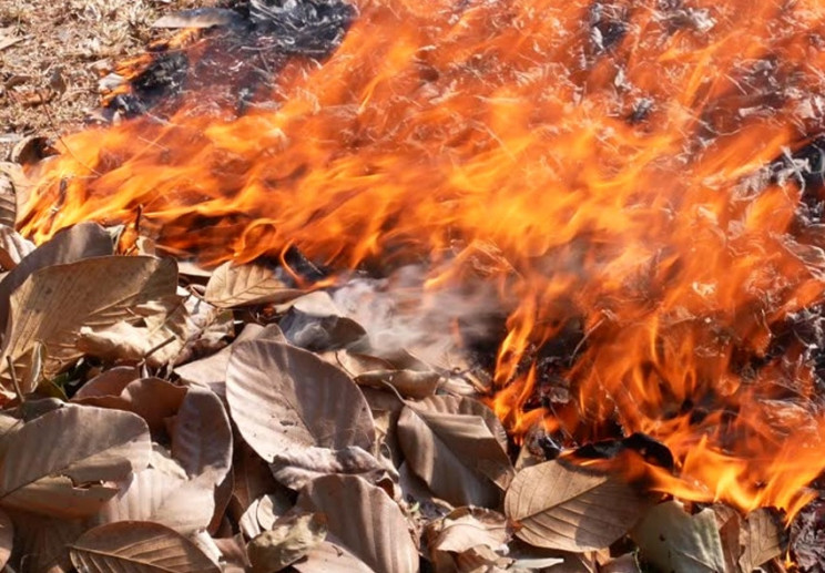 Любителям спалювати листя: Поліція нагад…