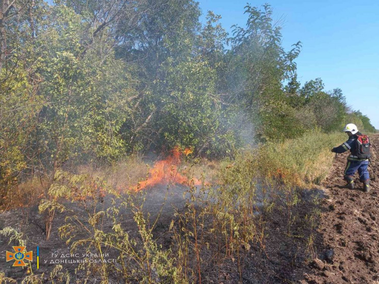 В Донецкой области горят стерня и трава:…