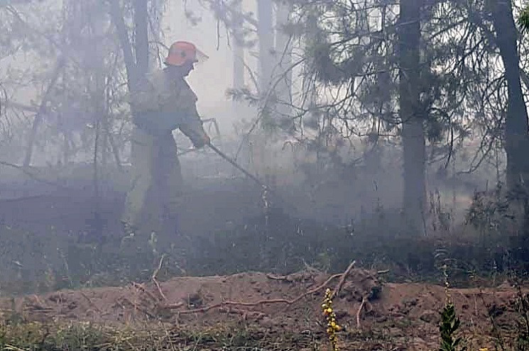На Дніпропетровщині гасили лісову пожежу…