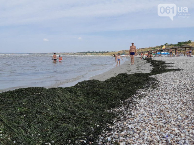 Пляжи запорожского курорта покрыли тонны…
