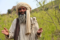 Не поделили власть: "Талибан" отложил об…
