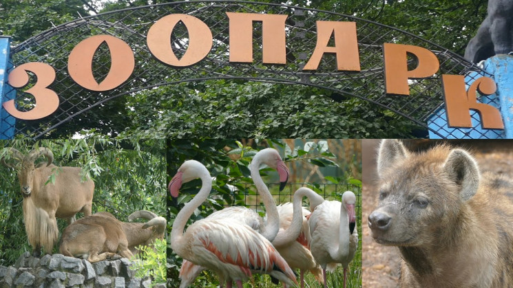 Харьковский зоопарк празднует свой 126 Д…
