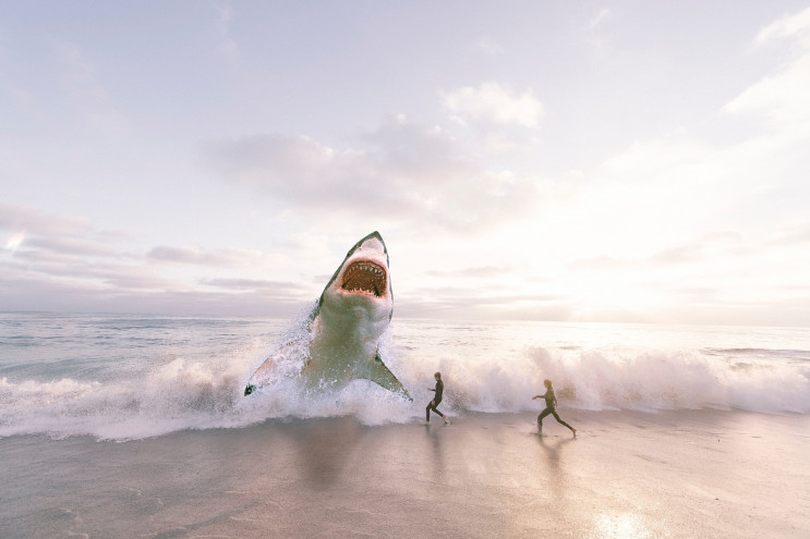 В Австралії акула напала на чоловіка і в…