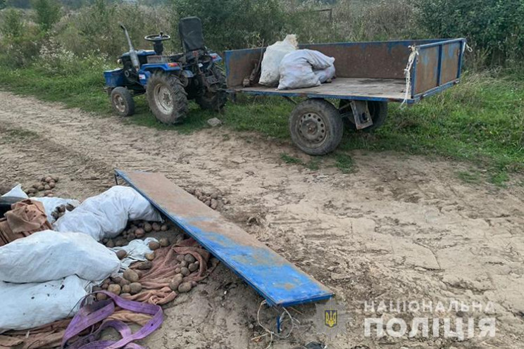 На Тернопільщині "ГАЗ" намагався обігнат…