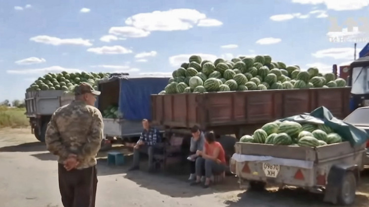 На Херсонщині пропадає величезна кількіс…