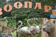 Харьковский зоопарк предупреждает о появ…