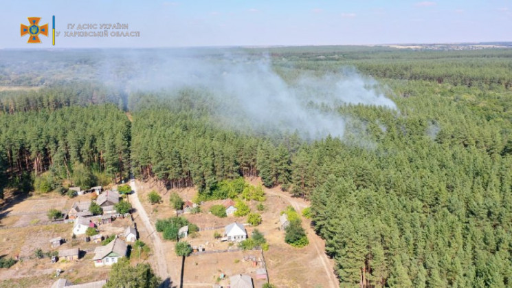 На Харьковщине пожарные потушили хвойный…
