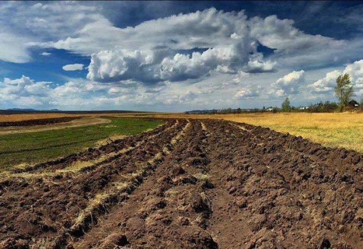 На Хмельниччині виявили більше пів тисяч…