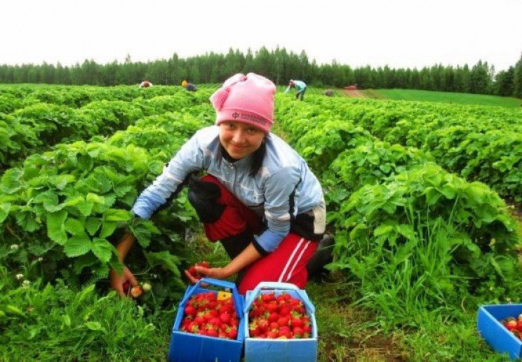 Добре там, де ми є: Чому українці рвутьс…