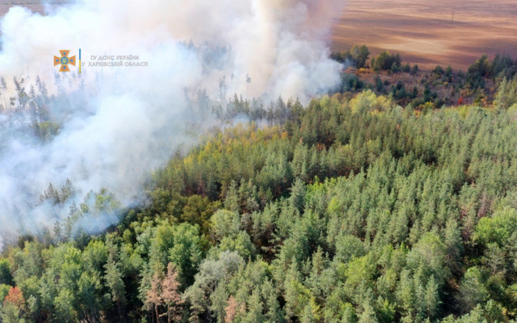 Лесной пожар в Харьковской области: Спас…