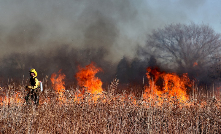На Полтавщині пожежа охопила національни…