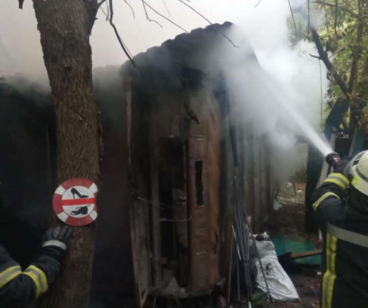 У Києві під час пожежі в Гідропарку заги…