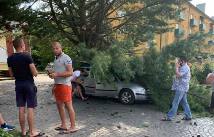 В центре Свалявы на машину упало дерево…