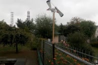 У Подільському зоопарку встановили вітря…