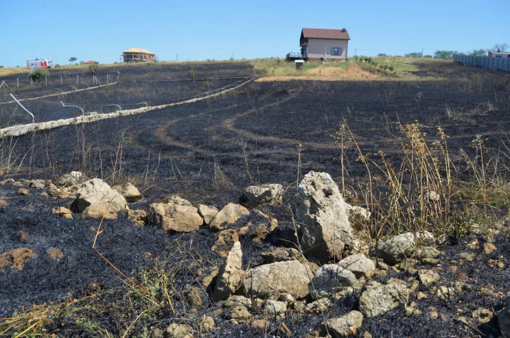 В окупованому Криму згоріло лавандове по…