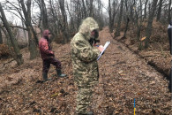 На Луганщині судитимуть групу чорних ліс…