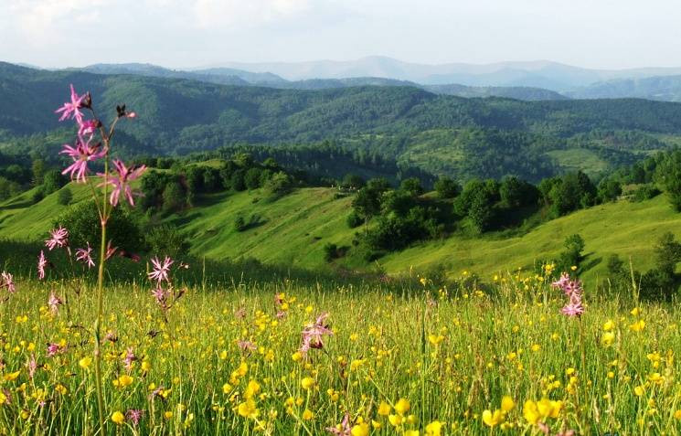 Прикмети 5 липня: Як у день зустрічей за…