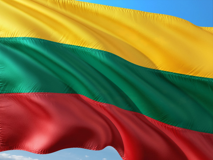 В Литве выслали мигранта, который связан…