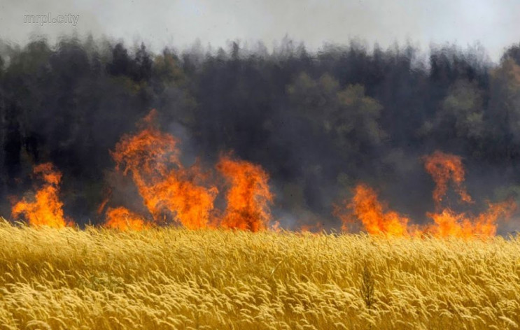 На Харківщині вогонь знищив 15 гектарів…