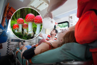 Что делать при отравлении грибами: Полез…