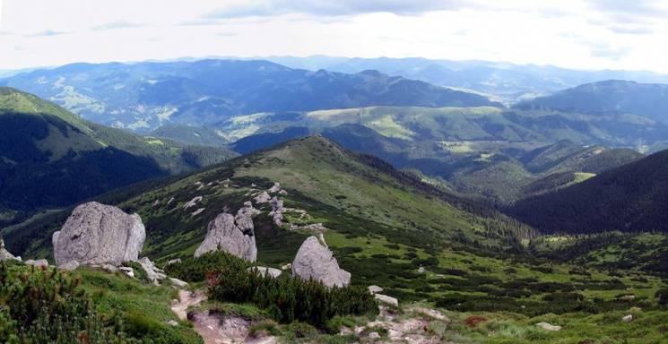 Які чудернацькі вухаті вершини приваблюю…