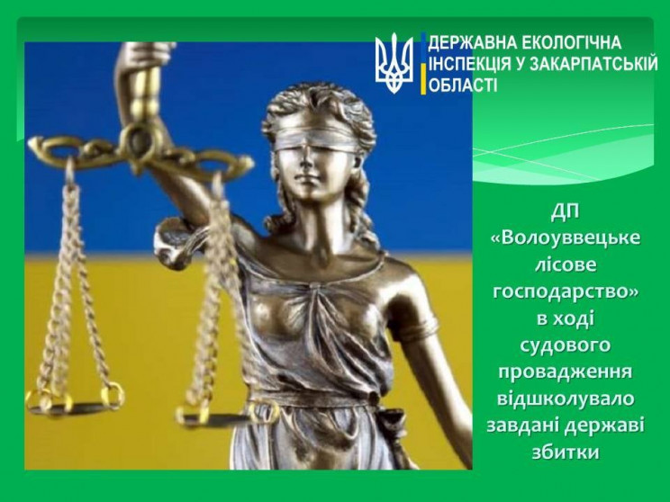 Суд примусив Воловецький лісгосп компенс…