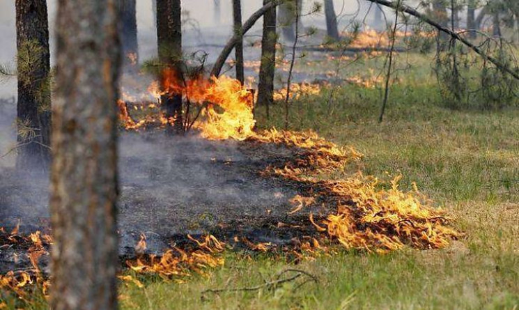 Рятувальники застерігають про пожежну не…