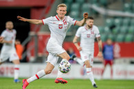 Матч Албания — Польша прерывали из-за аг…