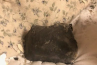 В Канаде метеорит врезался в частный дом…