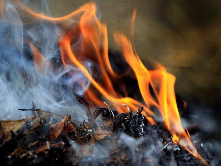 На Дніпропетровщині жінка палила листя,…